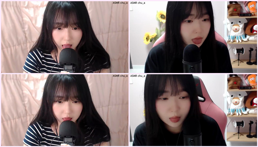 2 ASMRSlow Tingly 2 麦克风 双胞胎Asmr ASMR视频